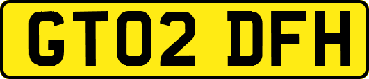 GT02DFH