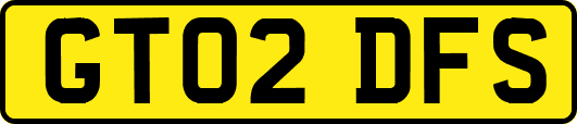 GT02DFS