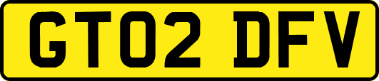 GT02DFV