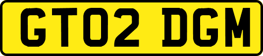 GT02DGM