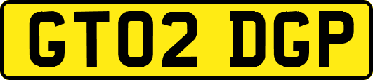 GT02DGP