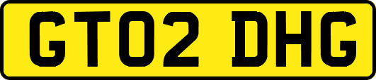 GT02DHG