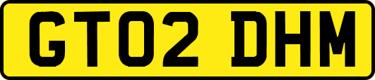 GT02DHM