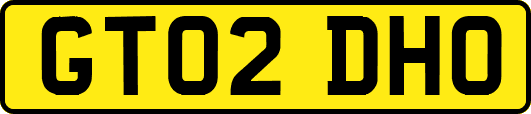GT02DHO