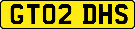 GT02DHS