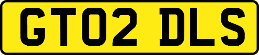 GT02DLS