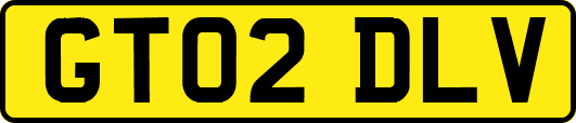 GT02DLV