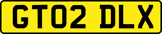 GT02DLX