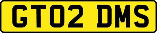 GT02DMS