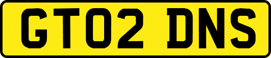 GT02DNS