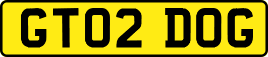 GT02DOG