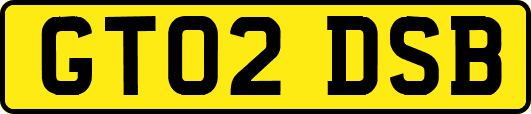 GT02DSB