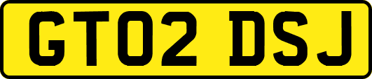 GT02DSJ