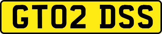 GT02DSS