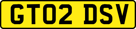 GT02DSV