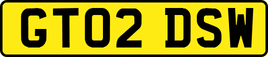 GT02DSW
