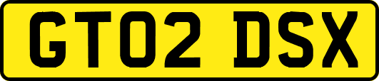 GT02DSX