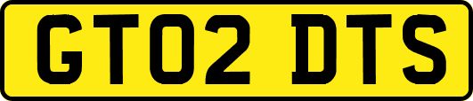 GT02DTS