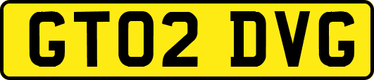 GT02DVG