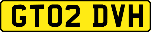 GT02DVH
