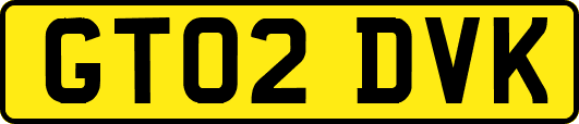 GT02DVK