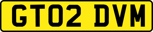 GT02DVM