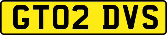 GT02DVS
