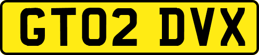 GT02DVX