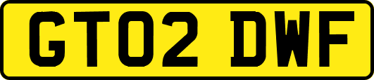 GT02DWF