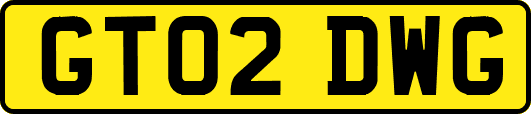 GT02DWG