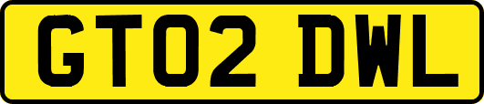 GT02DWL