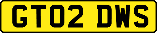 GT02DWS