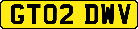 GT02DWV