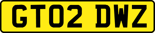 GT02DWZ