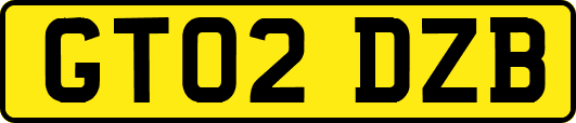 GT02DZB