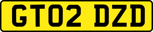 GT02DZD