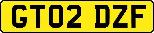 GT02DZF