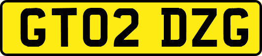GT02DZG