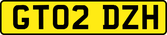 GT02DZH