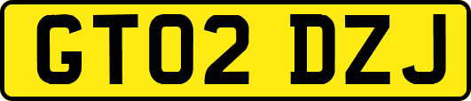 GT02DZJ
