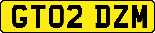 GT02DZM