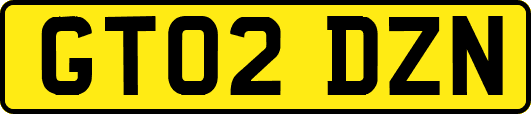 GT02DZN