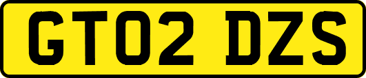 GT02DZS