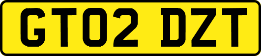 GT02DZT