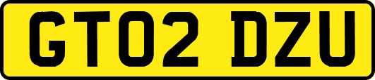 GT02DZU