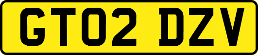 GT02DZV