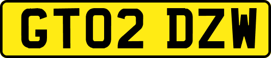 GT02DZW
