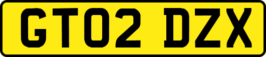 GT02DZX