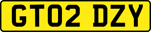 GT02DZY