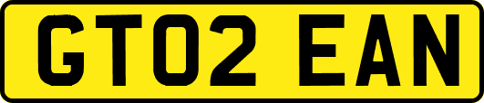 GT02EAN